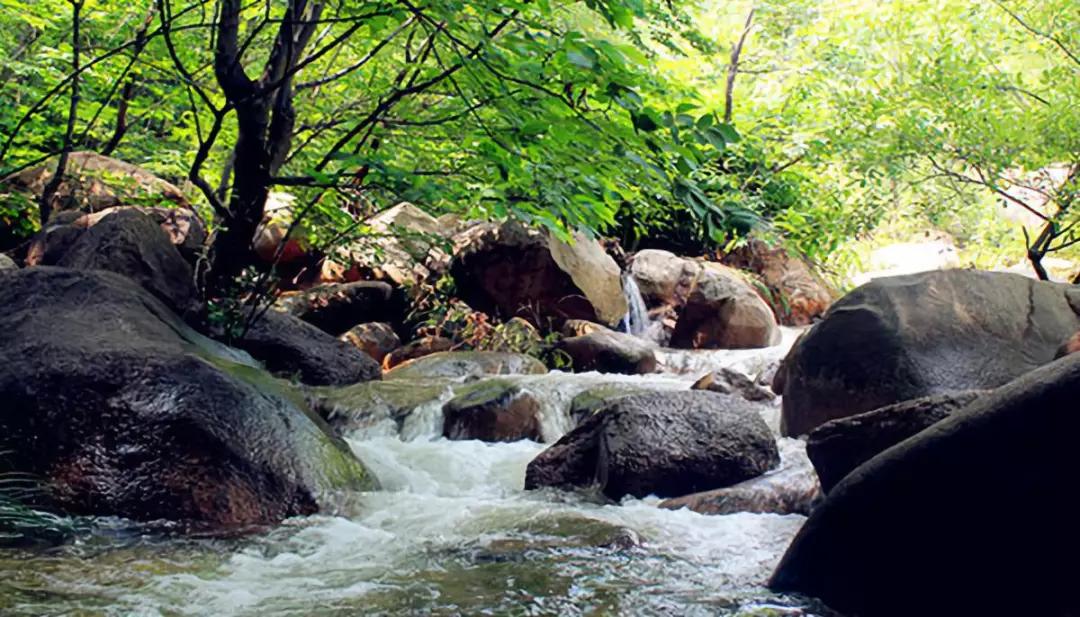 溪流.jpg