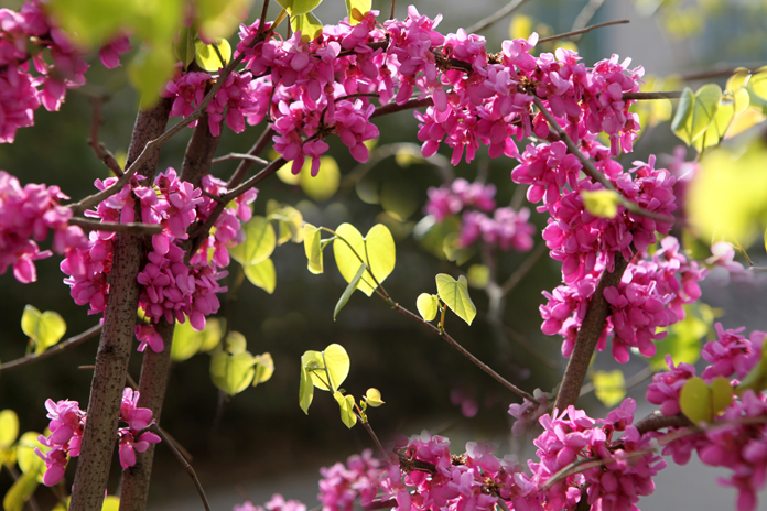 《尧山欢迎您》摄影:郭东伟.jpg 《尧山欢迎您》摄影:郭东伟.jpg