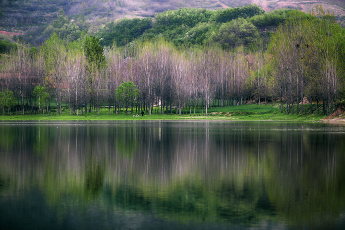 春到方山摄影 王建中.jpg 春到方山摄影 王建中.jpg