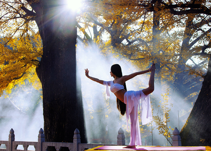 秋日瑜伽杨向阳.jpg 秋日瑜伽杨向阳.jpg