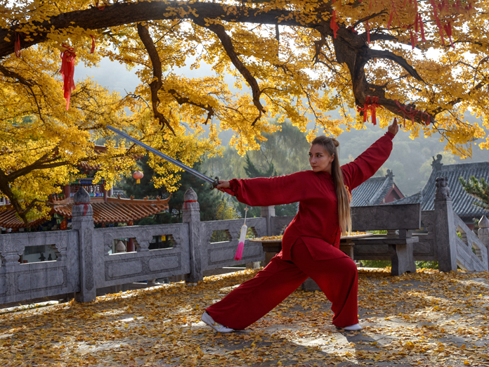 银杏古寺杨向阳.jpg 银杏古寺杨向阳.jpg