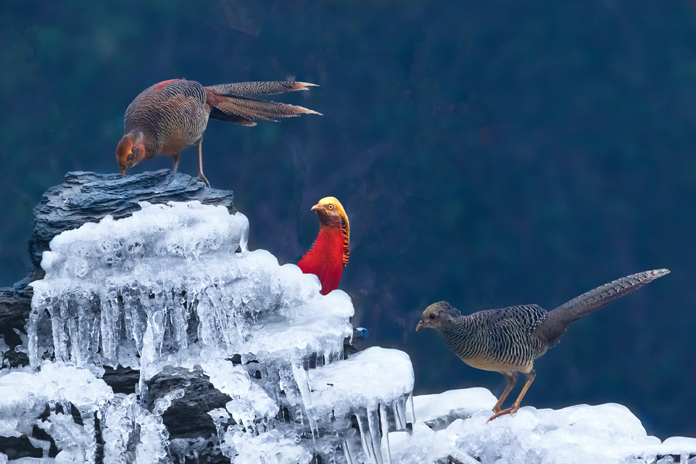 冰雪世界 何进文.jpg 冰雪世界 何进文.jpg