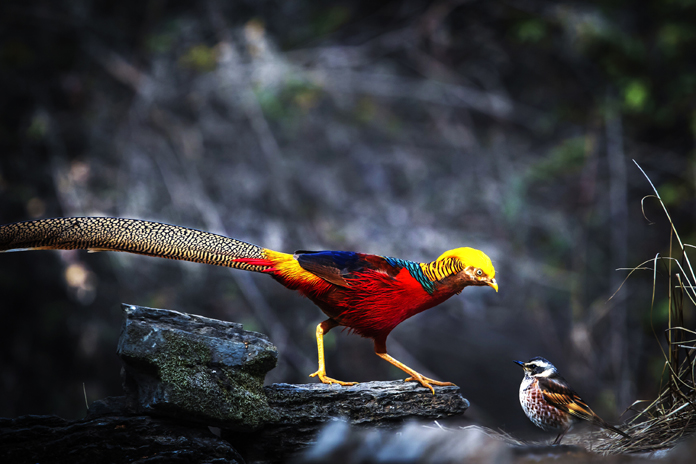 你是谁 何进文.jpg 你是谁 何进文.jpg