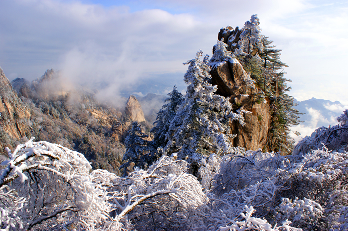 季节的雕饰 摄影 马进伟.jpg 季节的雕饰 摄影 马进伟.jpg