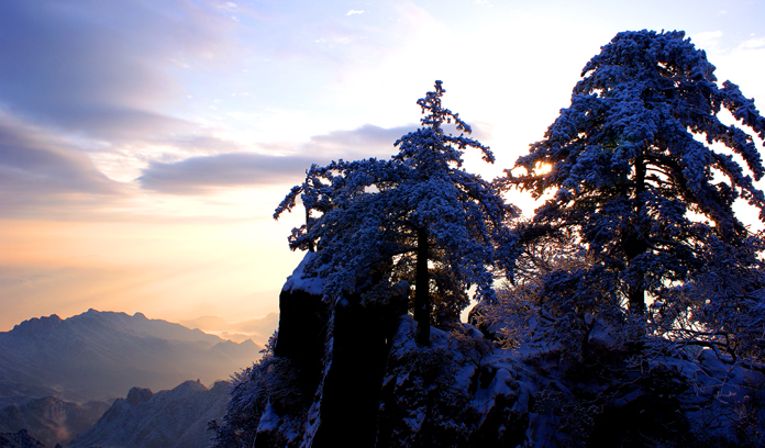 挺立 摄影 马进伟.jpg 挺立 摄影 马进伟.jpg