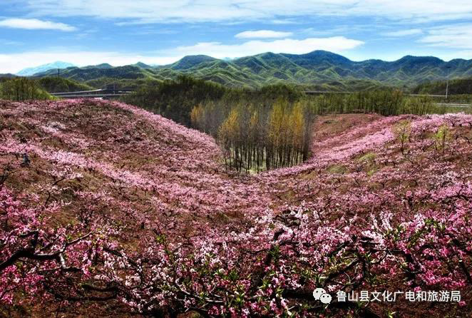 C:\Users\Administrator\Desktop\1\12.jpg C:\Users\Administrator\Desktop\1\12.jpg