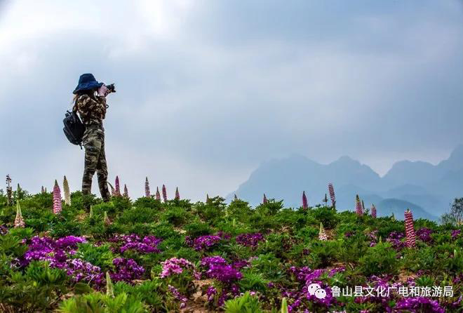 C:\Users\Administrator\Desktop\1\13.jpg C:\Users\Administrator\Desktop\1\13.jpg