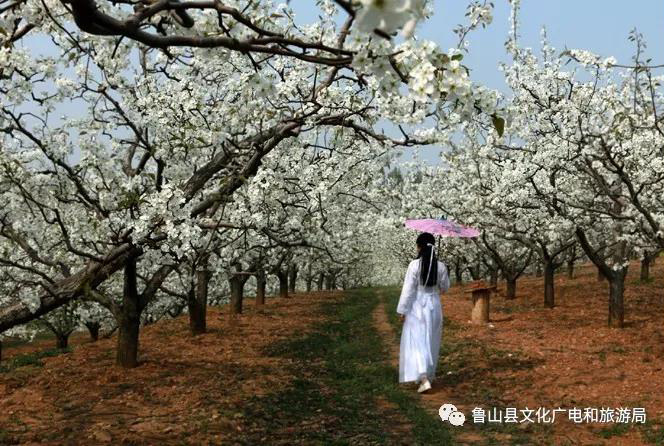 C:\Users\Administrator\Desktop\1\14.jpg C:\Users\Administrator\Desktop\1\14.jpg