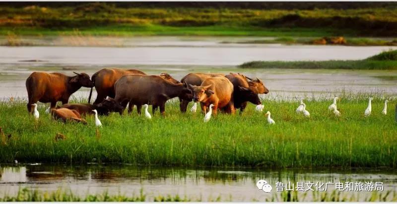 《共同家园》摄影:叶要宏.jpg 《共同家园》摄影:叶要宏.jpg