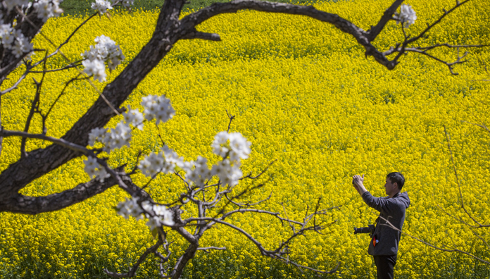 《春风里土门乡焦山村》摄影:郭东伟.jpg 《春风里土门乡焦山村》摄影:郭东伟.jpg