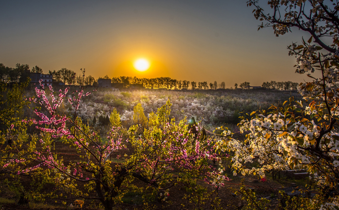 《流光溢彩花果山》摄影:杨向阳.jpg 《流光溢彩花果山》摄影:杨向阳.jpg