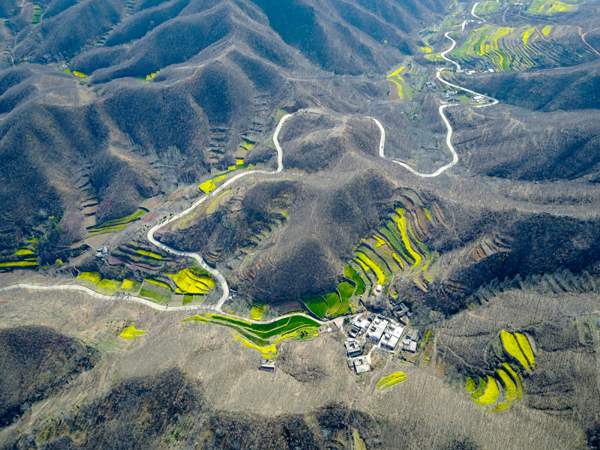 王建中《春》 (1).jpg 王建中《春》 (1).jpg