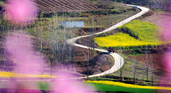 杨向阳春醒 (6).jpg 杨向阳春醒 (6).jpg