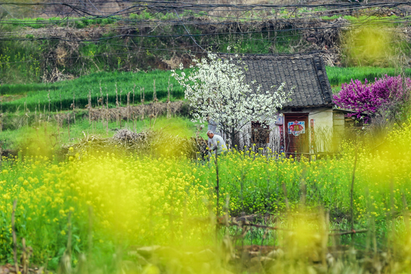 王建中《春》 (5).jpg 王建中《春》 (5).jpg