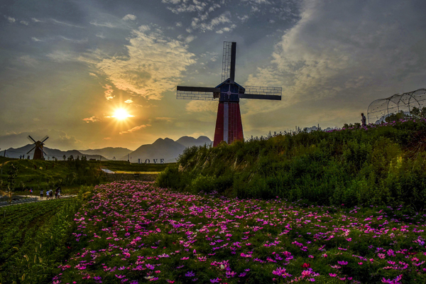 杨向阳春醒 (2).jpg 杨向阳春醒 (2).jpg