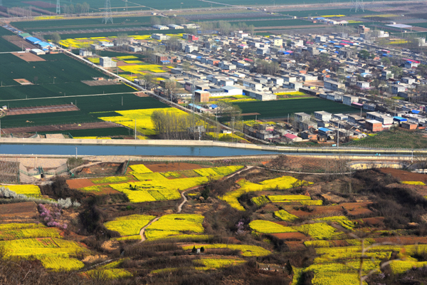 春醒李东阳.jpg 春醒李东阳.jpg