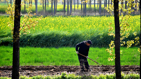 春醒之《春耕图》 (2)李涛.jpg 春醒之《春耕图》 (2)李涛.jpg