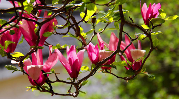 马进伟 (2).jpg 马进伟 (2).jpg