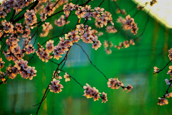 马进伟 (5).jpg 马进伟 (5).jpg