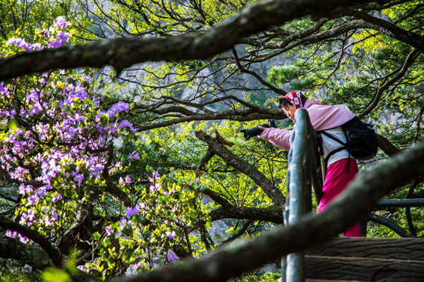 春到尧山7陈国增.jpg 春到尧山7陈国增.jpg