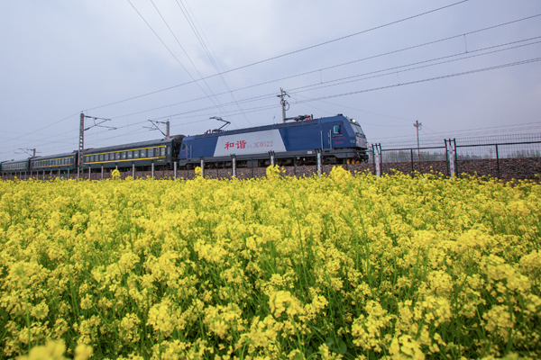 春天的列车 何进文.jpg 春天的列车 何进文.jpg