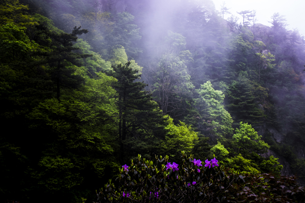《春山初醒》黄岩--13937565193.jpg 《春山初醒》黄岩--13937565193.jpg