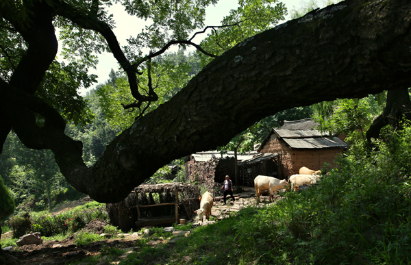 何瑞民 (1).jpg 何瑞民 (1).jpg