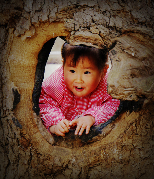 作品名称:《古树童影唤春醒》、作者:张宝富、13703756599、通讯地址:平顶山市区、拍摄地点:团城乡、jpg.jpg 作品名称:《古树童影唤春醒》、作者:张宝富、13703756599、通讯地址:平顶山市区、拍摄地点:团城乡、jpg.jpg