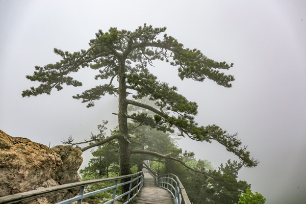 李奇.jpg 李奇.jpg