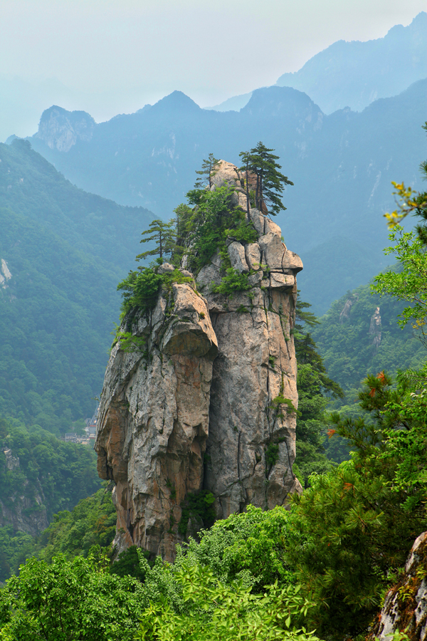 马进伟.jpeg 马进伟.jpeg