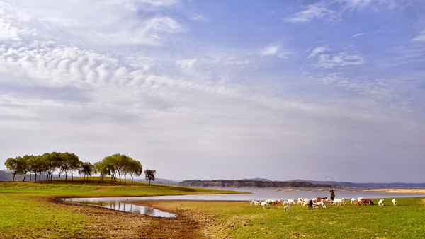 《平湖牧场》杨留建(牧歌)19937575252.jpg 《平湖牧场》杨留建(牧歌)19937575252.jpg