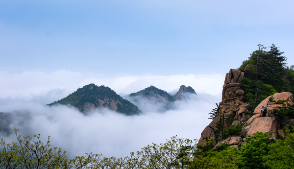 朱宾予.jpg 朱宾予.jpg