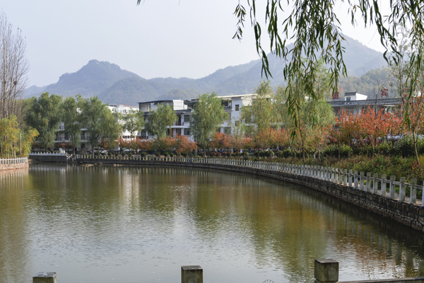 《美丽社区东竹园》+杨春英+13837783899+南召县卫健委+2019年11月拍摄于鲁山尧山镇.jpg 《美丽社区东竹园》+杨春英+13837783899+南召县卫健委+2019年11月拍摄于鲁山尧山镇.jpg