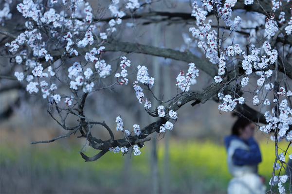 杨天增 (1) 拷贝.jpg 杨天增 (1) 拷贝.jpg