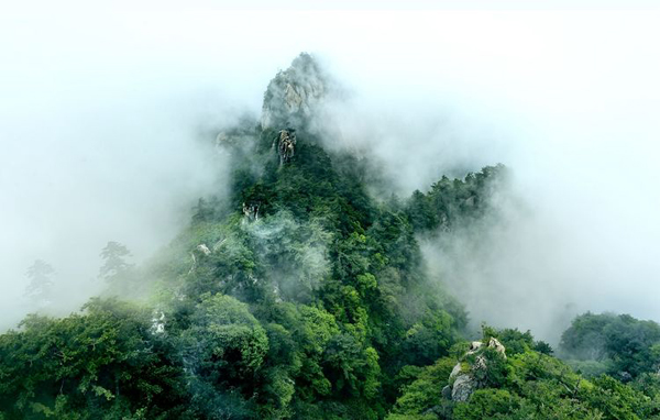 雾罩尧山杨鲁欣.jpg 雾罩尧山杨鲁欣.jpg