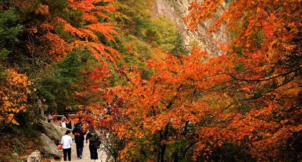 尧山马进伟.jpg 尧山马进伟.jpg