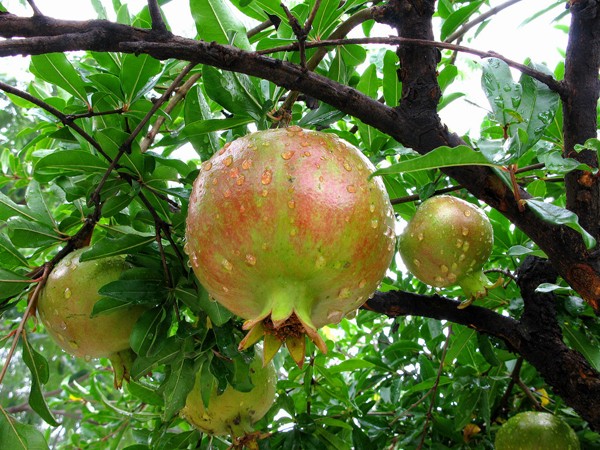 马进伟3.jpg 马进伟3.jpg