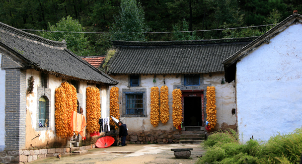 马进伟4.jpg 马进伟4.jpg