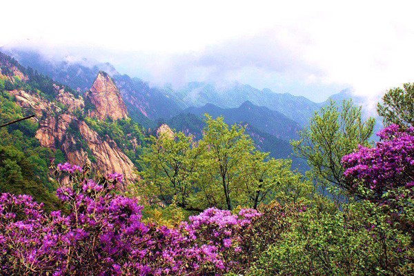 马进伟5.jpg 马进伟5.jpg