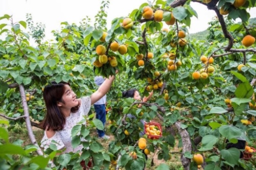 _cgi-bin_mmwebwx-bin_webwxgetmsgimg__&MsgID=4895188316371802570&skey=@crypt_22ca05ac_646293b594341bc5ec8c57da59ffb350&mmweb_appid=wx_webfilehelper.jpg _cgi-bin_mmwebwx-bin_webwxgetmsgimg__&MsgID=4895188316371802570&skey=@crypt_22ca05ac_646293b594341bc5ec8c57da59ffb350&mmweb_appid=wx_webfilehelper.jpg