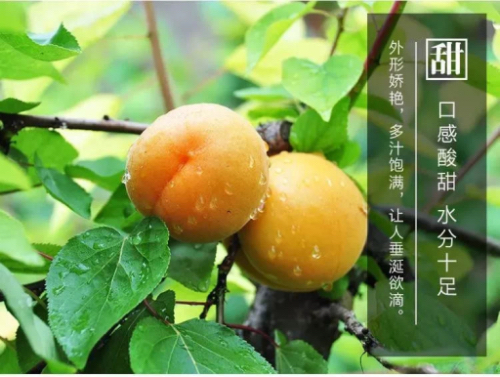 _cgi-bin_mmwebwx-bin_webwxgetmsgimg__&MsgID=2526963353316895493&skey=@crypt_22ca05ac_646293b594341bc5ec8c57da59ffb350&mmweb_appid=wx_webfilehelper.jpg _cgi-bin_mmwebwx-bin_webwxgetmsgimg__&MsgID=2526963353316895493&skey=@crypt_22ca05ac_646293b594341bc5ec8c57da59ffb350&mmweb_appid=wx_webfilehelper.jpg