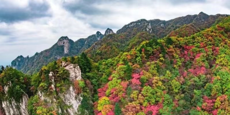 微信图片_20230831104636.jpg 微信图片_20230831104636.jpg